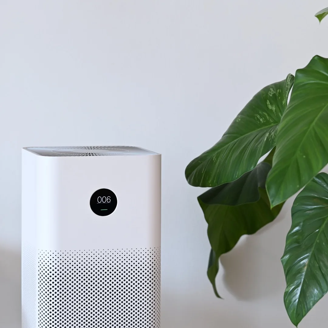 Air purifier running beside a houseplant to improve indoor air quality in an Avondale, AZ living room
